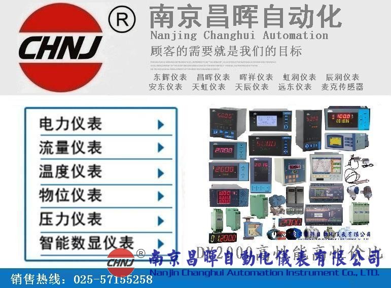 東輝儀表DY22D12164M、DY21D0116、DY21D1616P多通道巡檢儀