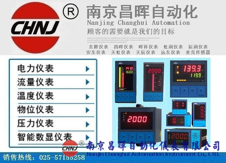 東輝儀表DY21ZE、DY22ZE、DY26ZE、DY28ZE、DY29ZE、DY2000單電量顯示儀