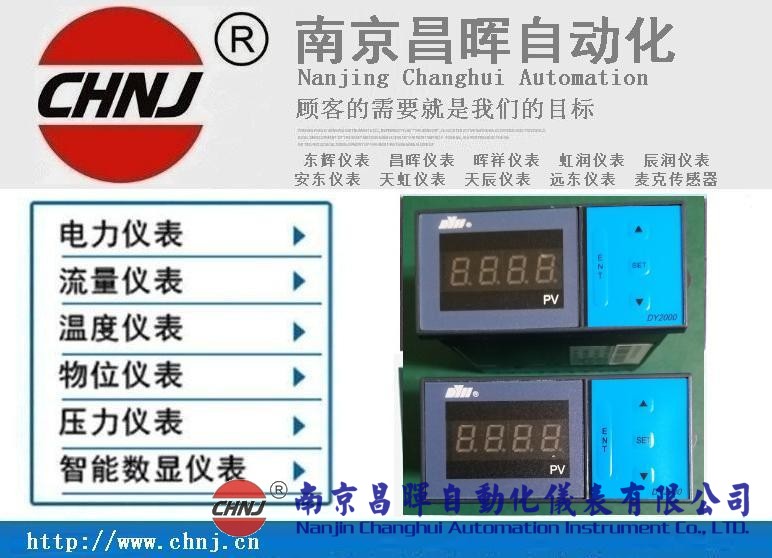 大延牌DY2000、東輝儀表、DY28B02/DY21B02/DY29B02數(shù)顯表